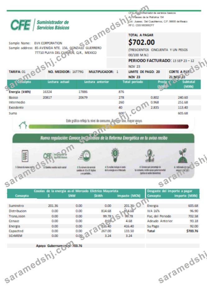 CFE electricity utility business bill,  SCR